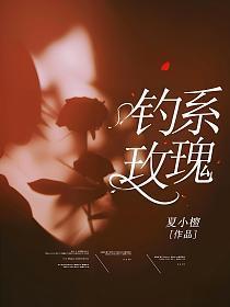 钓系玫瑰全部章节