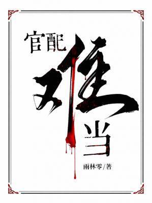 官配txt盘