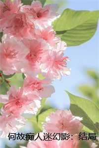 何故痴人迷幻影最后谁赢了