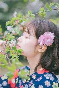 我和女医生的诊断日志字幕