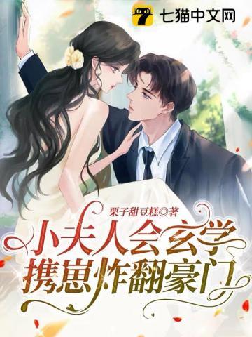 小夫人又作妖