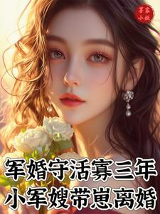 军嫂带崽离婚了全文免费阅读