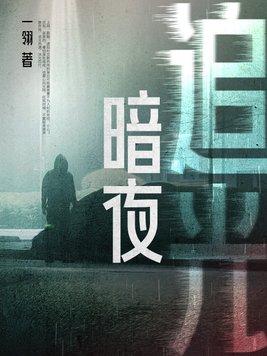 暗夜追光简妤