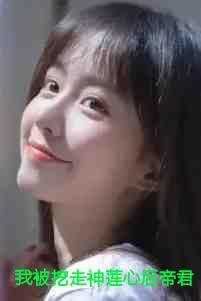 我被挖走神莲心后帝君杀疯了免费阅读