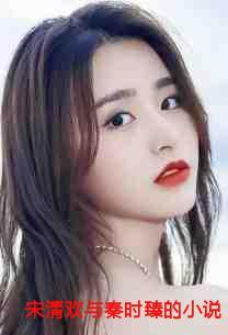 宋清欢与秦时臻的小说