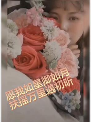 愿我如星卿如月,扶摇万里遇初昕